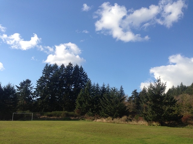 亮点