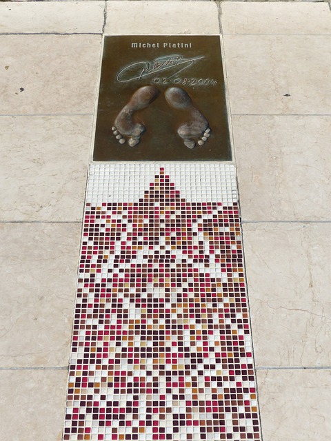 制定出适合 制定出适合