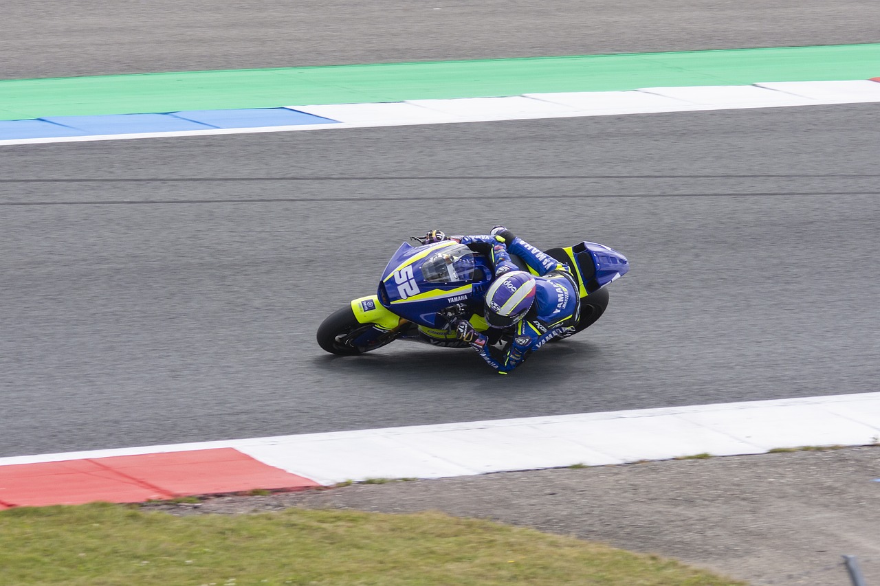 巴勒斯坦的 巴勒斯坦的