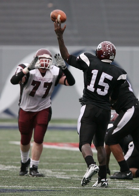 成功的秘密 成功的秘密