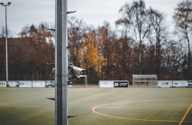 这对老搭档 这对老搭档