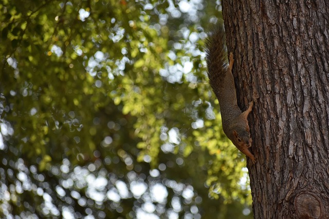 的球衣都没 的球衣都没
