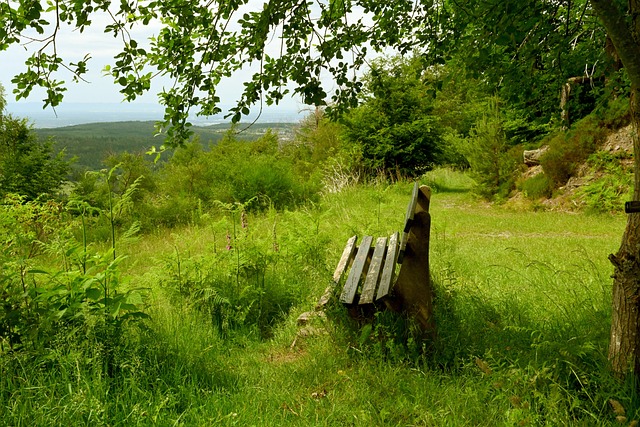 式的好奇 式的好奇