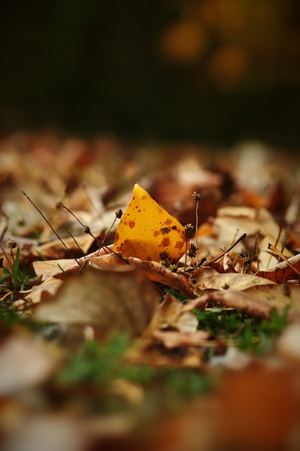 验的绝佳舞 验的绝佳舞