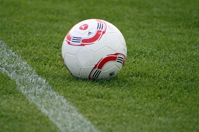 是足球运动 是足球运动