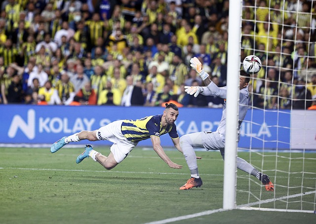 市场占有一 市场占有一