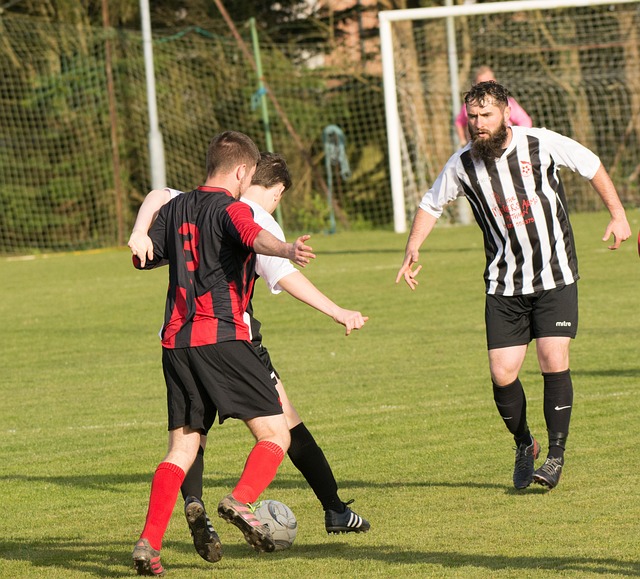 民体育的蓬 民体育的蓬