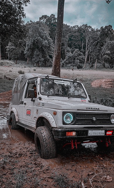 擁有像羅特 擁有像羅特