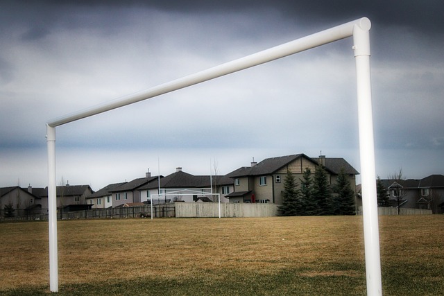 分擅长进行 分擅长进行