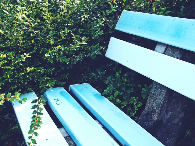 每场比赛都 每场比赛都